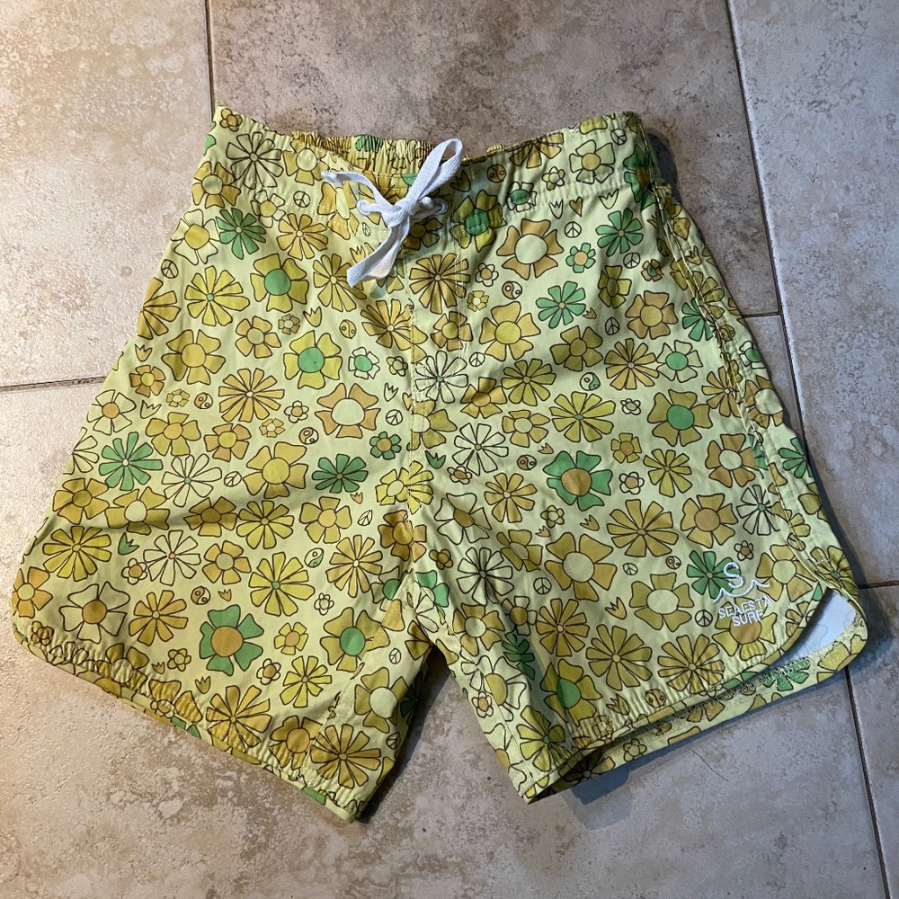 Seaesta Surf Scallop Shorts size 27